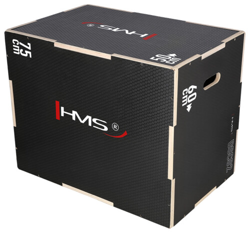 Plyo Box DSC02