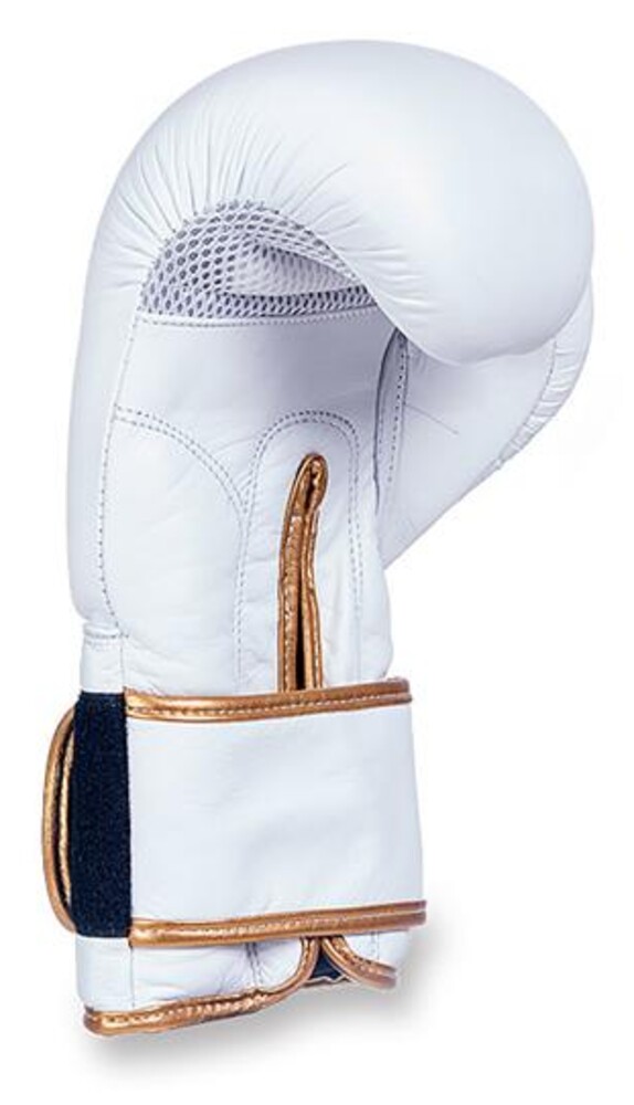 Boxerské rukavice DBX DBD-B-2