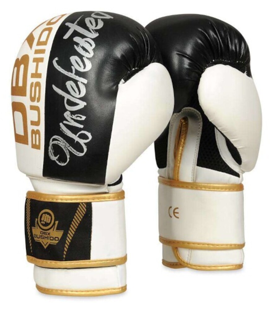boxerské rukavice DBX B-2v16