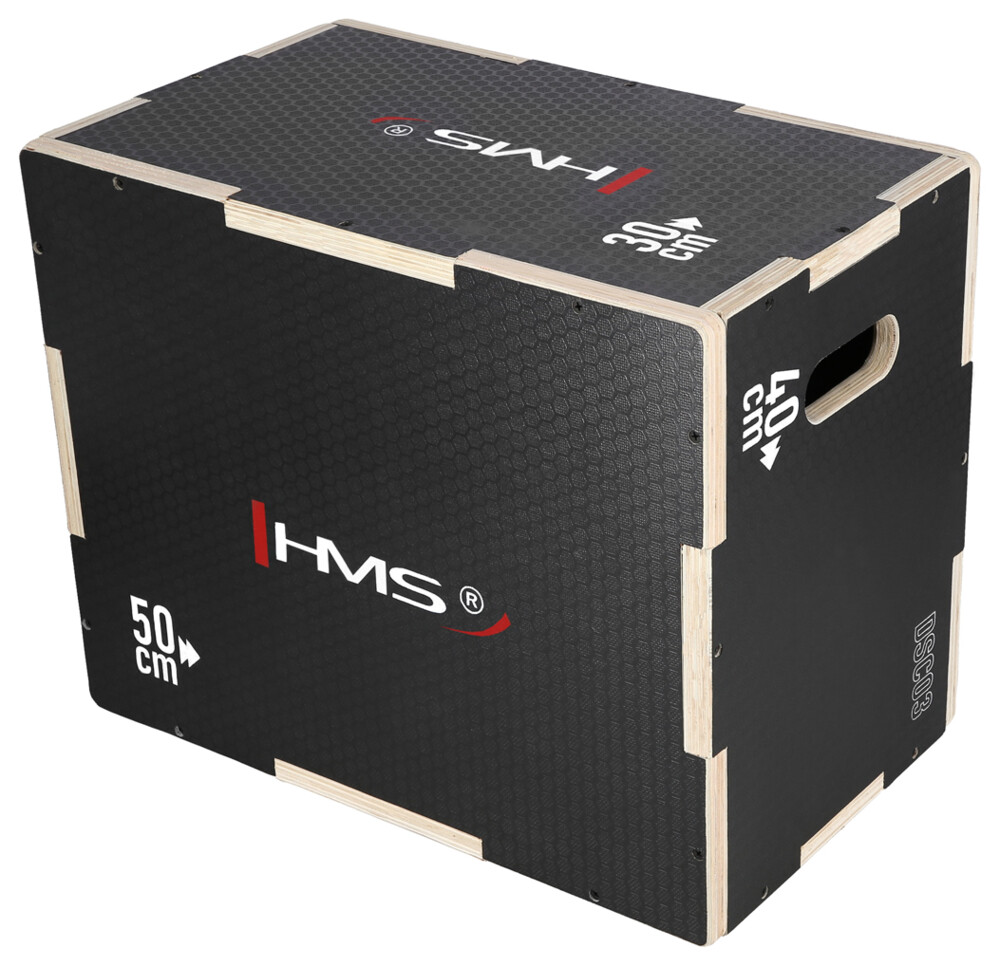 Plyo Box DSC03