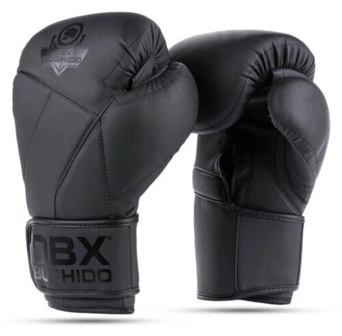 Boxerské rukavice DBX B-2v15B