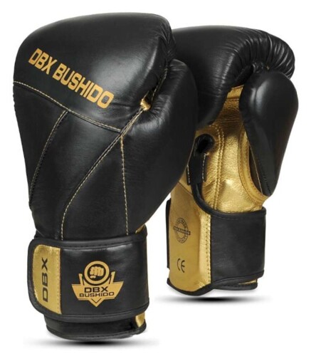 Boxerské rukavice DBX B-2v14