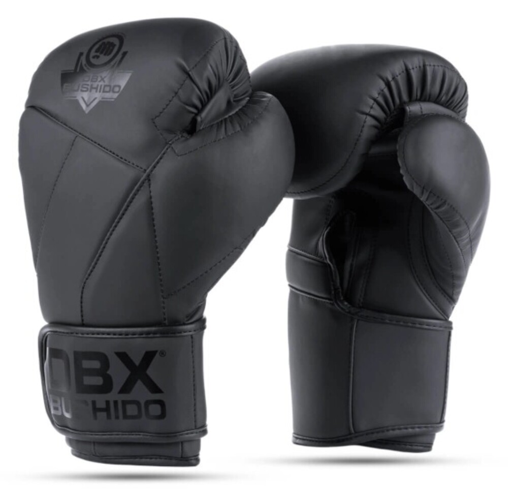 Boxerské rukavice DBX B-2v15B