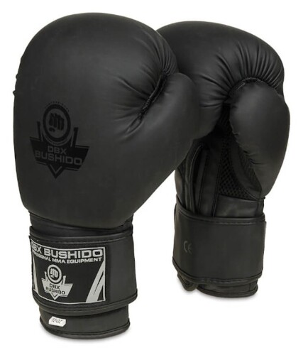 Boxerské rukavice DBX B-2v12