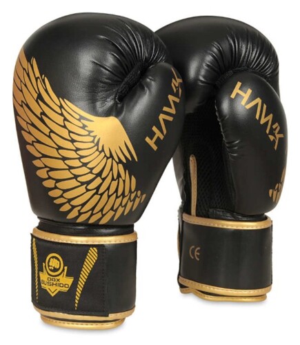 Boxerské rukavice DBX B-2v17