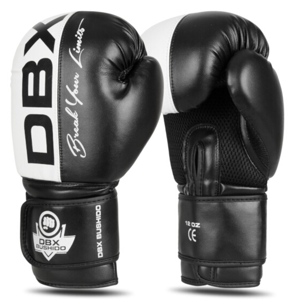 Boxerské rukavice DBX B-2v20