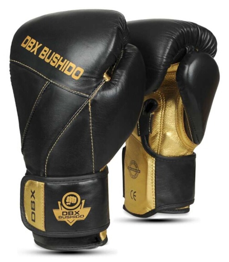 Boxerské rukavice DBX B-2v14