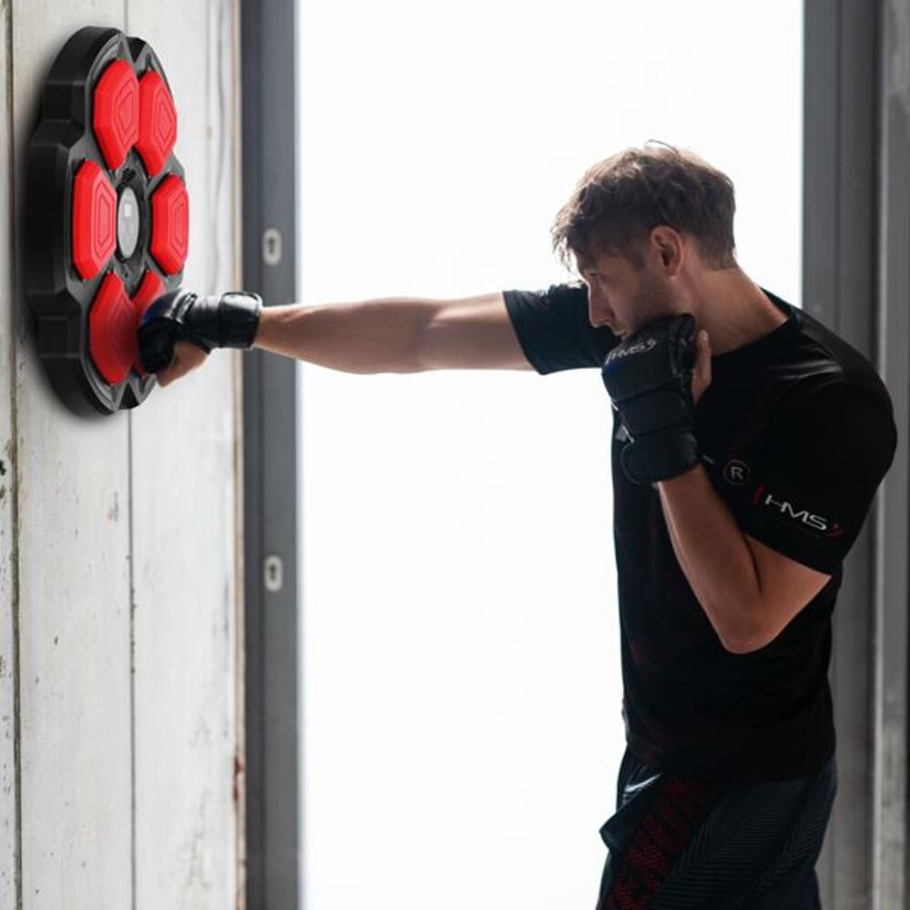 Elektronický boxerský terč TB06 s LED, Bluetooth a rukavicemi (Music Boxing Machine)