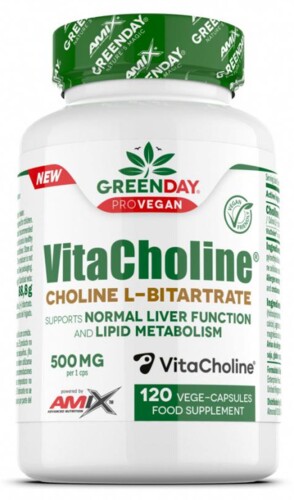 VitaCholine Choline L-bitartrate 120 vege kapslí