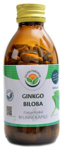 Ginkgo biloba jinan 120 kapslí