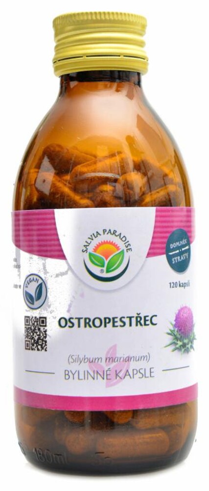 Ostropestřec mariánský 120 kapslí Silybum marianum
