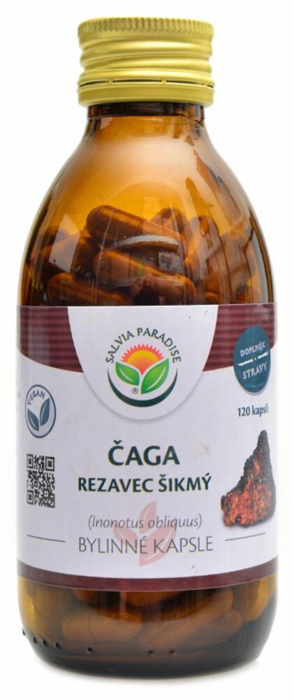 Čaga rezavec šikmý 120 kapslí  Chaga