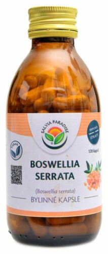 Boswellia serrata 120 kapslí kadidlovník