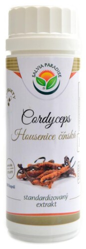 Cordyceps housenice standardizovaný extrakt 100 kapslí Cordyceps sinensis