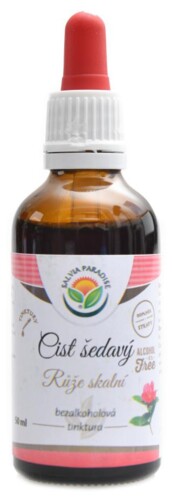 Cist šedavý růže skalní AF tinktura 50 ml Cistus incanus