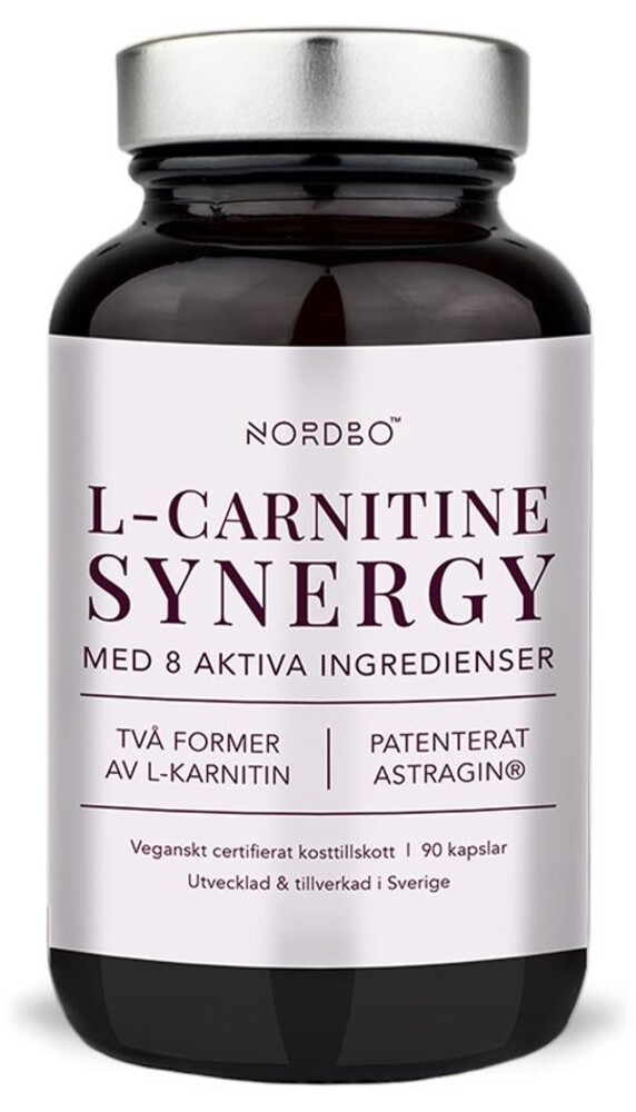 L-Carnitine Synergy 90 kapslí