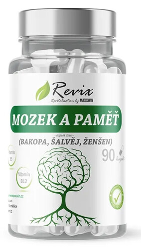 MOZEK A PAMĚŤ 90 kapslí