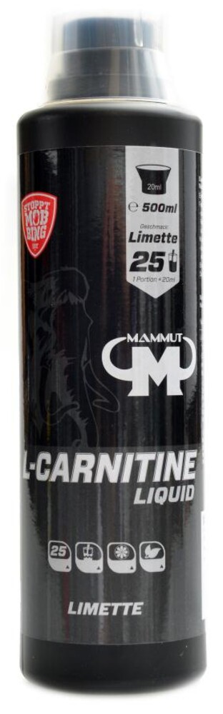 L-Carnitin 500 ml lime