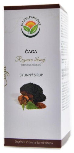 Čaga chaga rezavec šikmý DS sirup 180 ml Inonotus obliquus