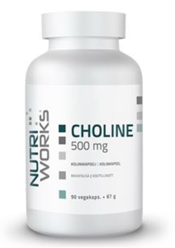 Choline 500 mg 90 kapslí