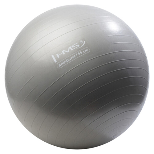Gymnastický míč YB02N 55 cm šedý